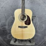 CORT Earth 70 Dreadnought mat