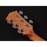 Richwood Master Series handmade dreadnought guitar