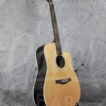 Eastman AC220 electro-acoustische Dreadnought 2-series With Case