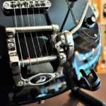 Richwood buckaroo deluxe tremola