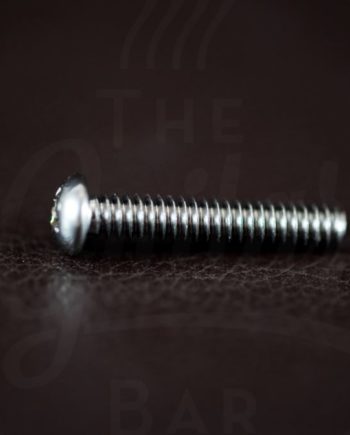 StewMac Tele bridge pickup height screw, chrome