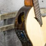 Martinez classic cutaway thinline