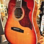 Stanford D-Bird all solid DN sitka/mahogany