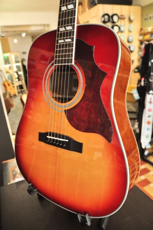 Stanford D-Bird all solid DN sitka/mahogany