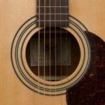 Cort dreadnought solid top hoogglans