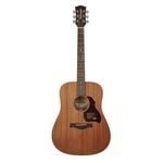 Richwood Master Series handmade dreadnought guitar