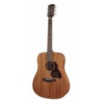Richwood Master Series handmade dreadnought guitar
