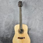 Timberline T20D