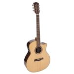Richwood Songwriter R WIDE NECK