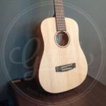 Cort earth mini incl gigbag