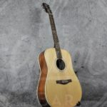 Eastman AC220 Dreadnought 2-series With Case