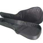 Ritter performance DN gigbag