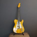 Valley Arts strat