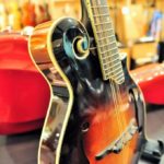 Eastman F-style with F-holes KNK PU