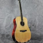 Eastman AC320 With Case