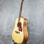 Richwood D-220 all solid dreadnought, spar/ mahonie, gigbag