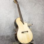 Martinez classic cutaway thinline