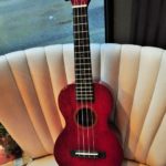 Mahalo concert ukulele wine red