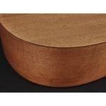 Richwood Master Series handmade dreadnought guitar