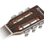 Richwood parlor 12-fret