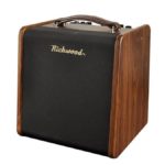 Richwood 50w acoustic amp