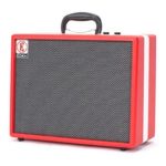 Eden acoustic amp 20w