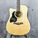 Richwood dreadnought lefthand EA solid top