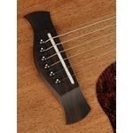 Richwood Master Series handmade dreadnought guitar