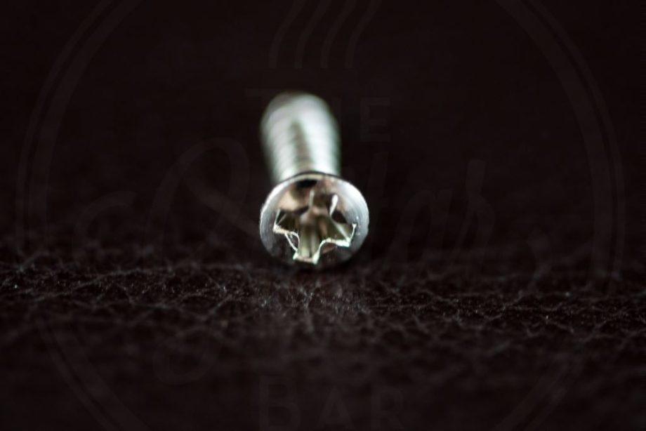 StewMac Gibson style pickguard screws, nickel