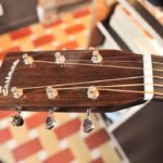 Eastman E20 OM