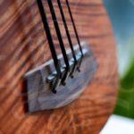 Kala UBass figured exotic mahogany fretted