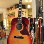Stanford D-Bird all solid DN sitka/mahogany