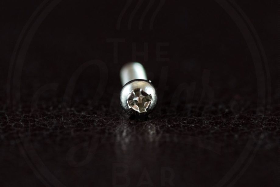 StewMac tuner screw, Philips roundhead, nickel