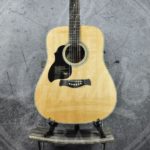 Richwood lefthand steelstring solid spruce top