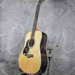 Richwood lefthand steelstring solid spruce top