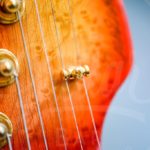 Valley Arts custom pro 3418