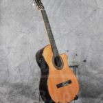 Almansa Cut-away CW 403 E1