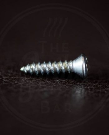 Fender Genuine Replacement Part pickguard screws,chrome, each