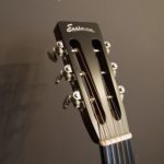 Eastman parlor adirondak sapele pu/gigbag