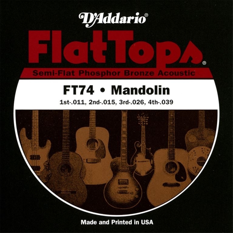 D'Addario Flattops 11-39