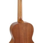 Richwood parlor 12-fret