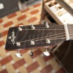 Stanford solid top & back sitka rosewood
