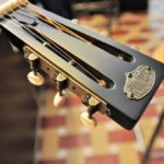 Paramount triolian single cone