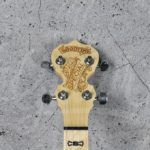 Goodtime Special Openback Banjo 5-string