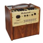 Richwood 50w acoustic amp