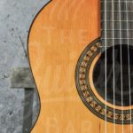 Salvador Cortez Solid Top Artist Series classic guitar 7/8