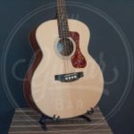 Guild archback bass incl gigba