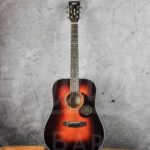 CORT Earth 300V Dreadnought