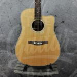 Eastman AC220 electro-acoustische Dreadnought 2-series With Case