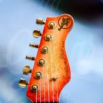 Valley Arts custom pro 3418
